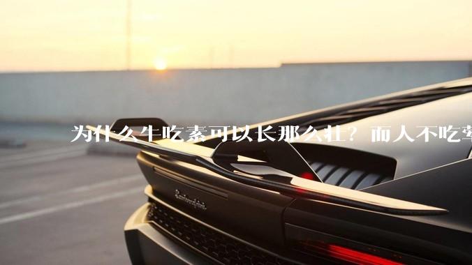 为什么牛吃素可以长那么壮？而人不吃荤就不行？