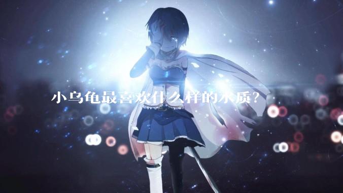 小乌龟最喜欢什么样的水质？