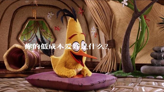 你的低成本爱好是什么？