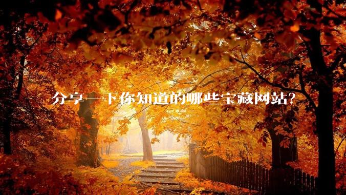 分享一下你知道的哪些宝藏网站？