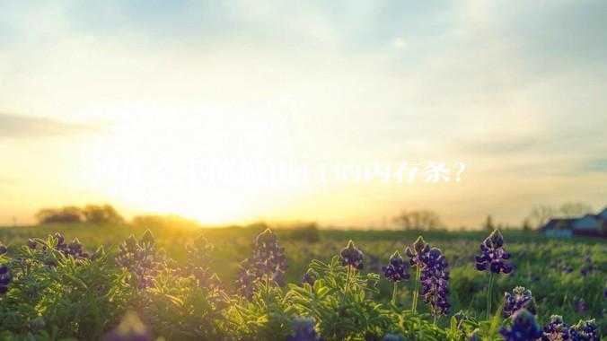 为什么不能做出1T的内存条？