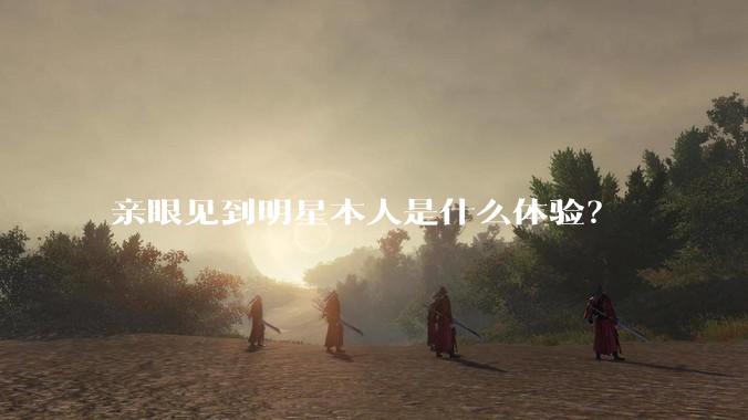 亲眼见到明星本人是什么体验？