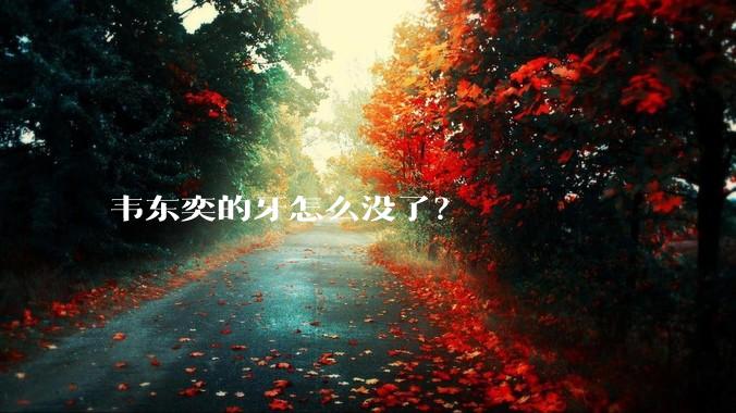 韦东奕的牙怎么没了？