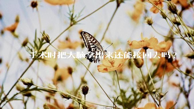 手术时把大脑拿出来还能接回去吗?