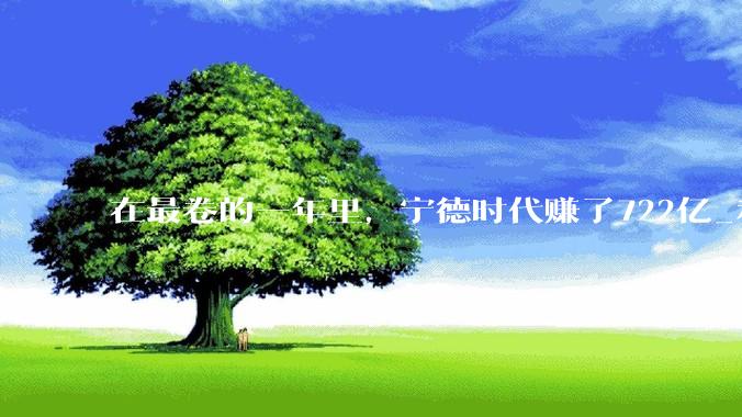 在最卷的一年里，宁德时代赚了722亿_利润_产能_电池