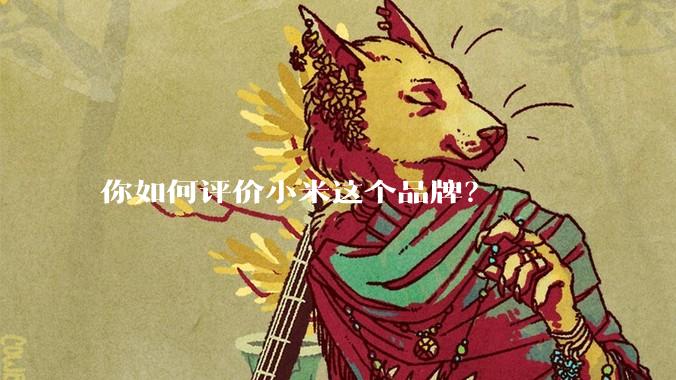 你如何评价小米这个品牌？