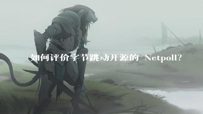 如何评价字节跳动开源的 Netpoll？