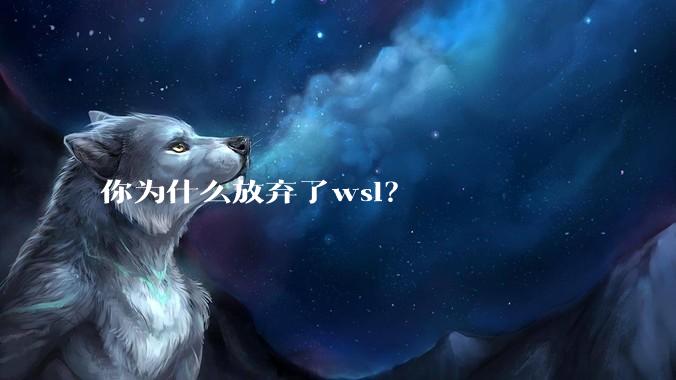 你为什么放弃了wsl？