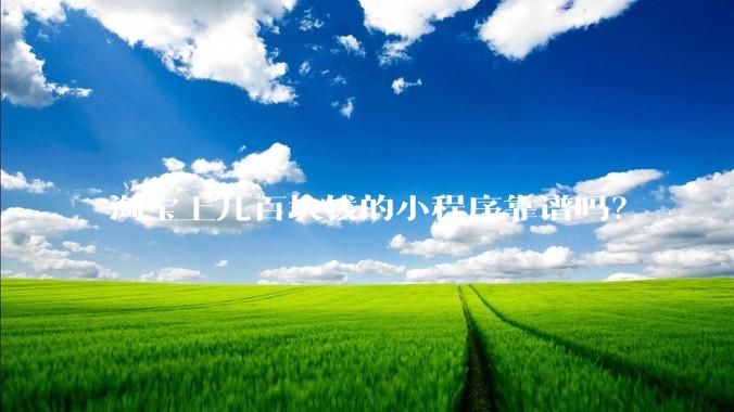 淘宝上几百块钱的小程序靠谱吗？