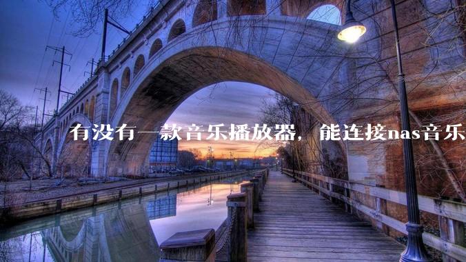 有没有一款音乐播放器，能连接nas音乐，创建音乐库，自动匹配歌词封面等等？类似infuse的概念呢？