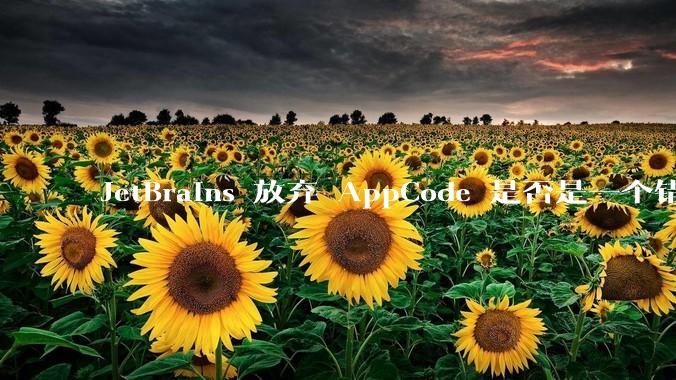 JetBrains 放弃 AppCode 是否是一个错误决定？