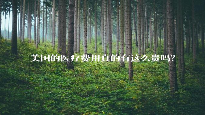 美国的医疗费用真的有这么贵吗？