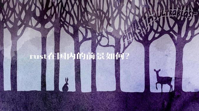 rust在国内的前景如何？