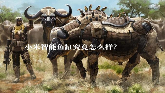 小米智能鱼缸究竟怎么样？