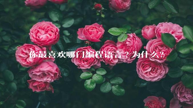 你最喜欢哪门编程语言?为什么？