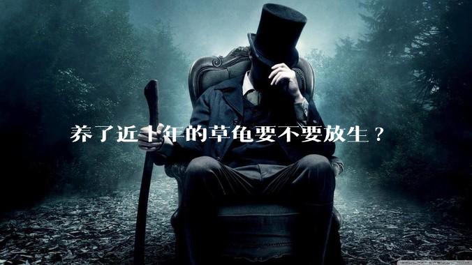 养了近十年的草龟要不要放生?