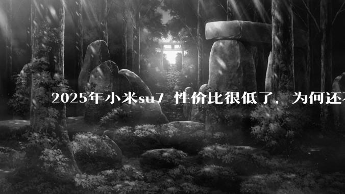 2025年小米su7 性价比很低了，为何还不更新改款？