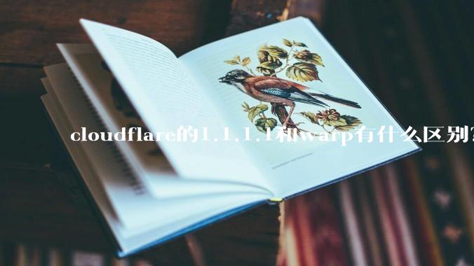 cloudflare的1.1.1.1和warp有什么区别？