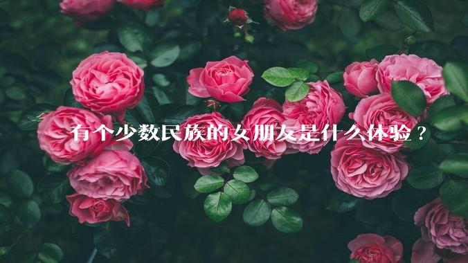 有个少数民族的女朋友是什么体验?